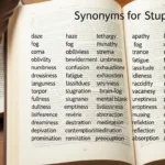 Synonyms for Stupor