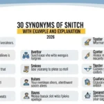 Synonyms of Snitch