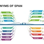 synonyms of span