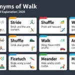 synonyms of walk