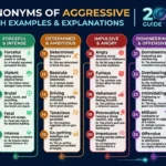 synonyms of aggressive