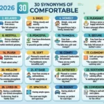 synonyms of comfortable