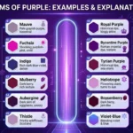 Synonyms of Purple