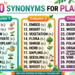 Synonyms for plant