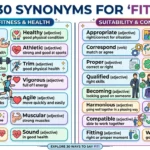 Synonyms for fit