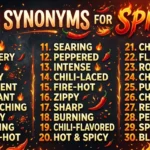 Synonyms for spicy